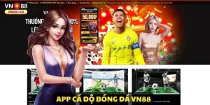 AnyConv.com__app-ca-do-ava