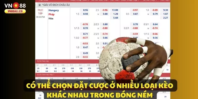 Có thể chọn đặt cược ở nhiều loại kèo khác nhau trong Bóng Ném