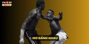 AnyConv.com__mo-danh-nhau