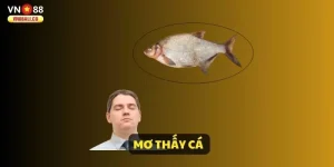 AnyConv.com__mo-thay-ca-ava