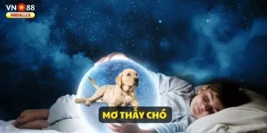 AnyConv.com__mo-thay-cho-ava