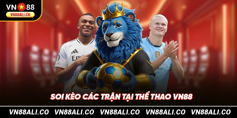 Soi kèo các trận tại thể thao VN88